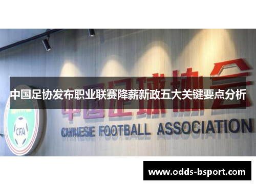 中国足协发布职业联赛降薪新政五大关键要点分析